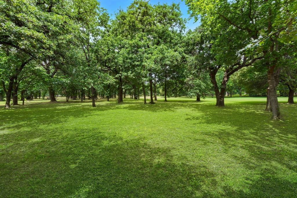 233 Hickory Ridge Court Property Photo 40