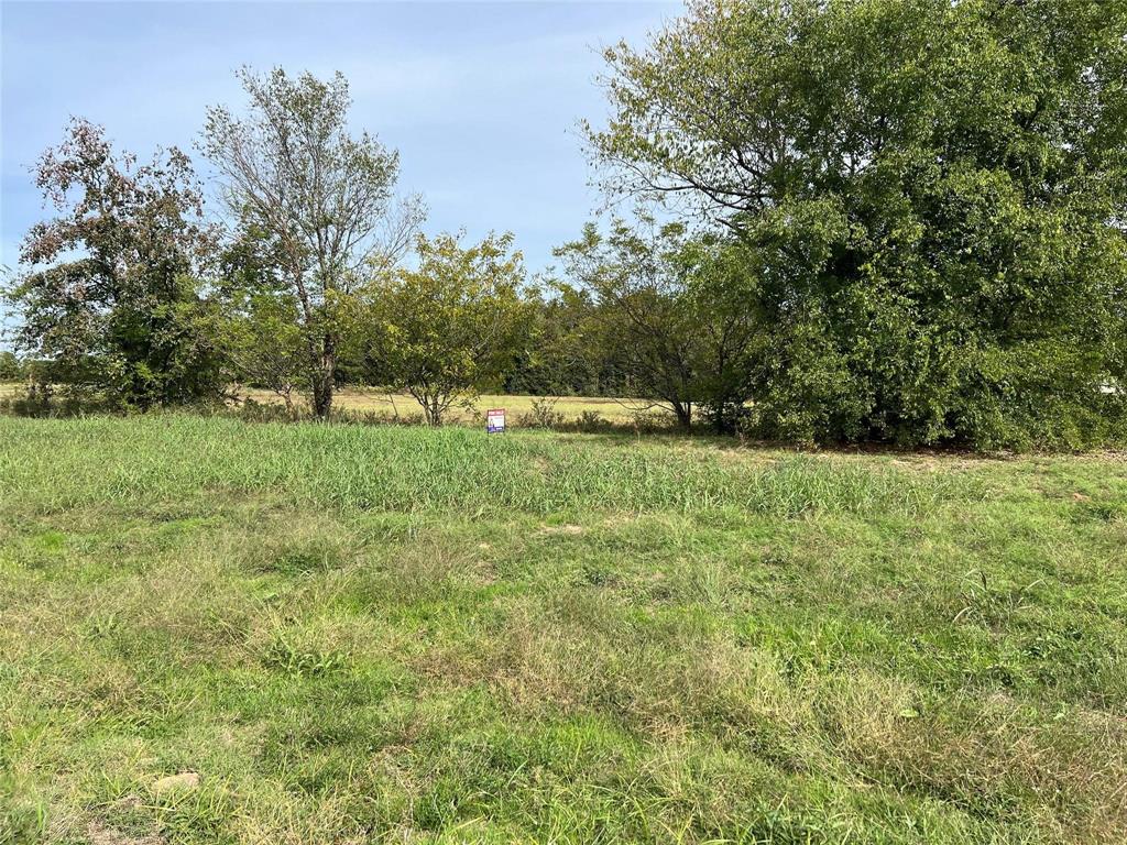00 S Hwy 271 Property Photo 1