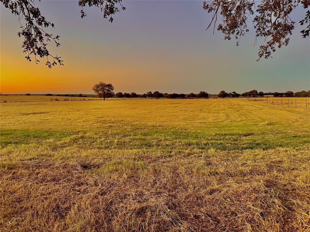14114 Howard Lake Court Property Photo 4