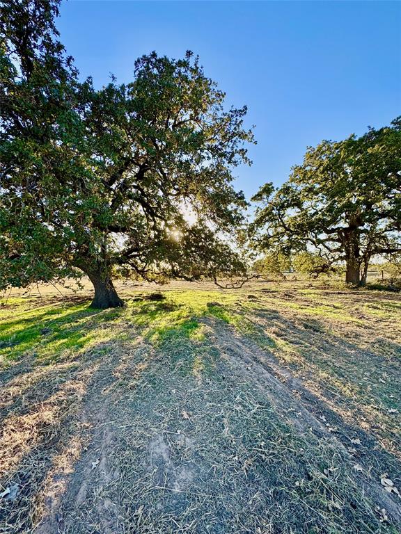 14114 Howard Lake Court Property Photo 8