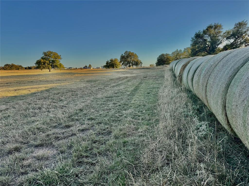 14114 Howard Lake Court Property Photo 9