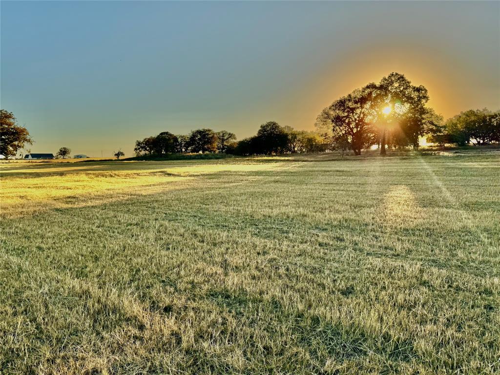 14114 Howard Lake Court Property Photo 11