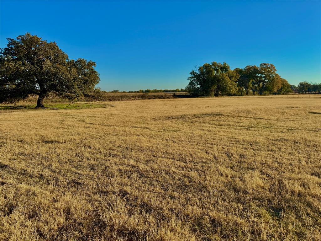14114 Howard Lake Court Property Photo 17