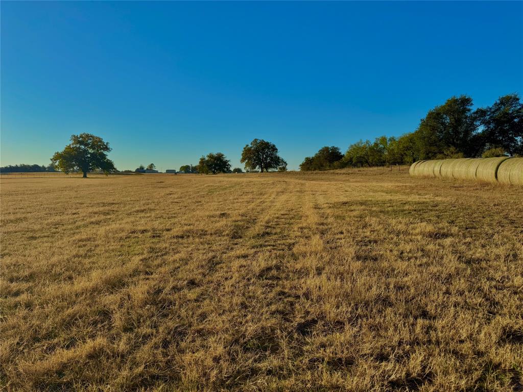 14114 Howard Lake Court Property Photo 18