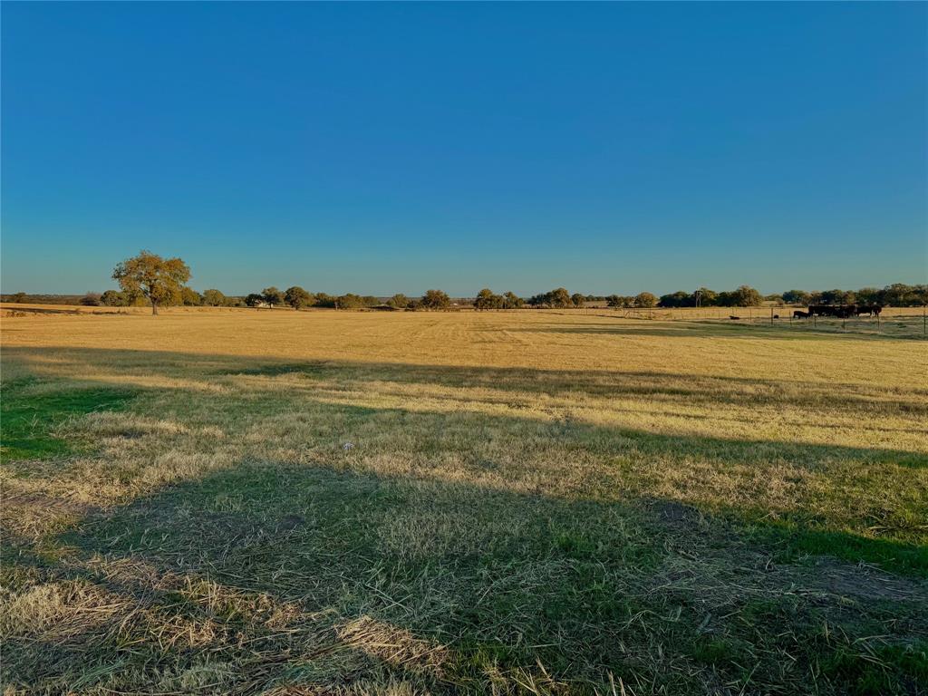 14114 Howard Lake Court Property Photo 19