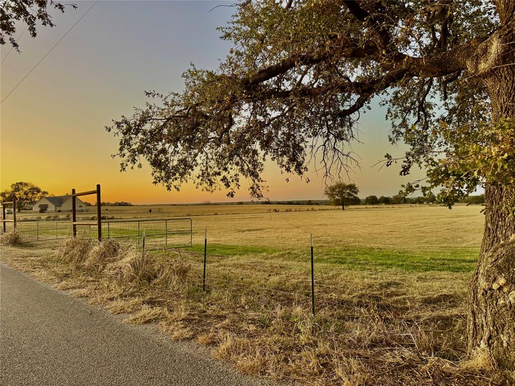 14114 Howard Lake Court Property Photo 20