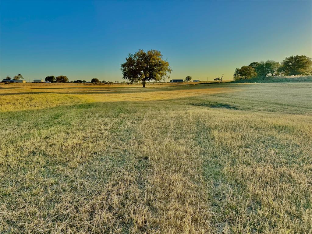 14114 Howard Lake Court Property Photo 27