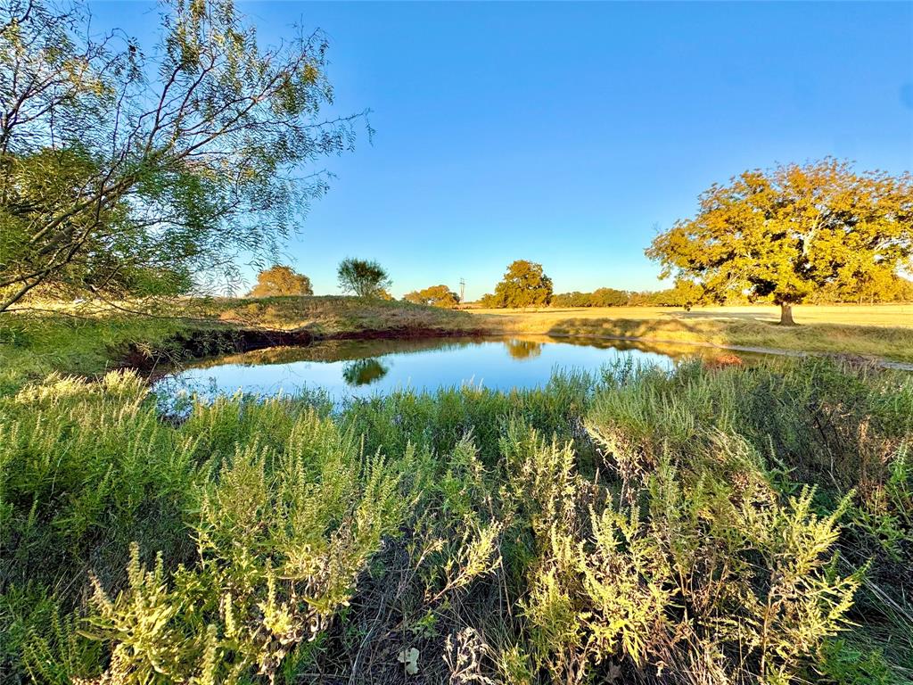 14114 Howard Lake Court Property Photo 30