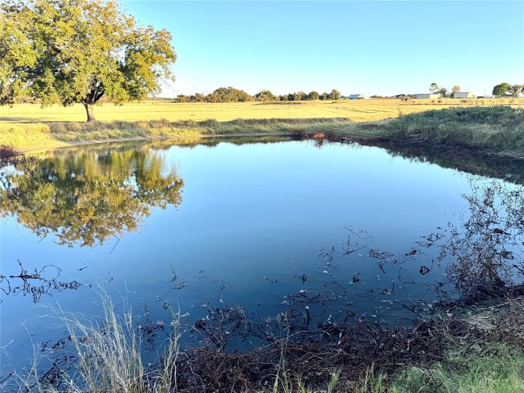 14114 Howard Lake Court Property Photo 31