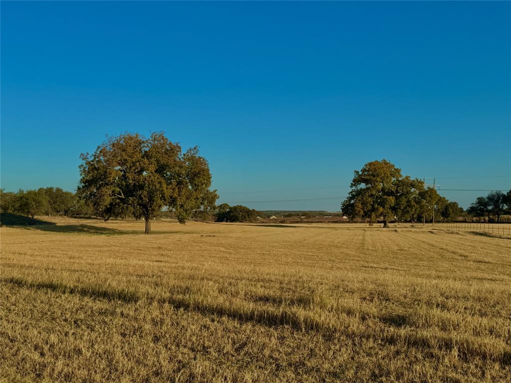 14114 Howard Lake Court Property Photo 33