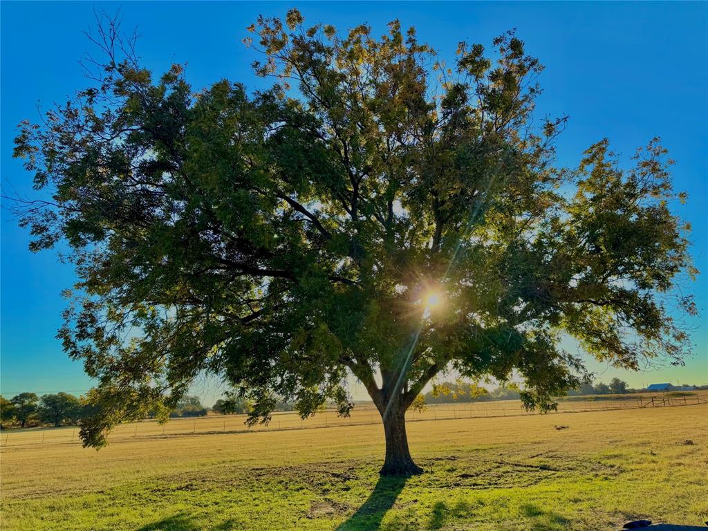 14114 Howard Lake Court Property Photo 34