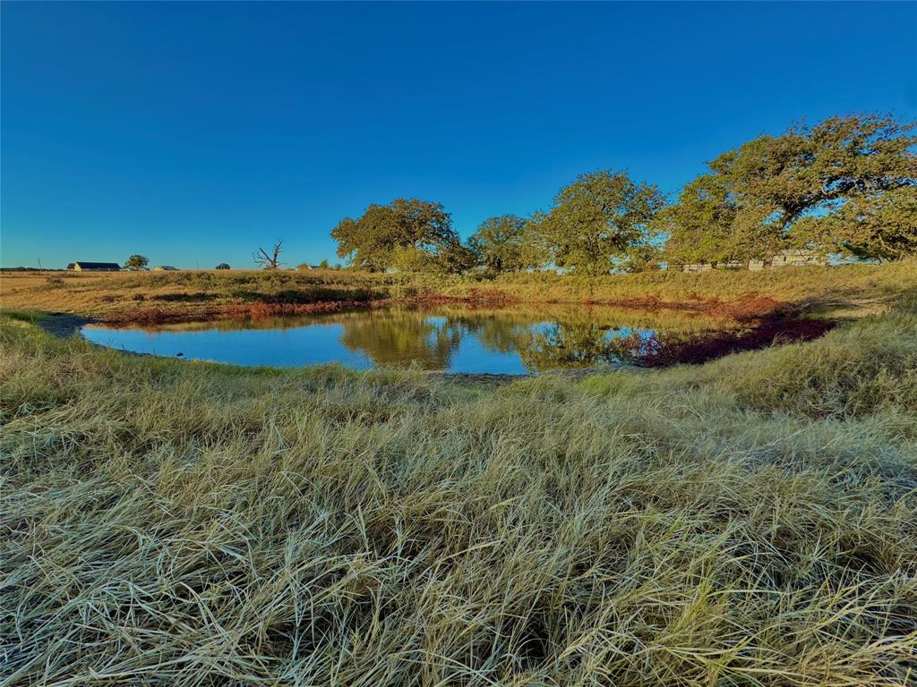 14114 Howard Lake Court Property Photo 35