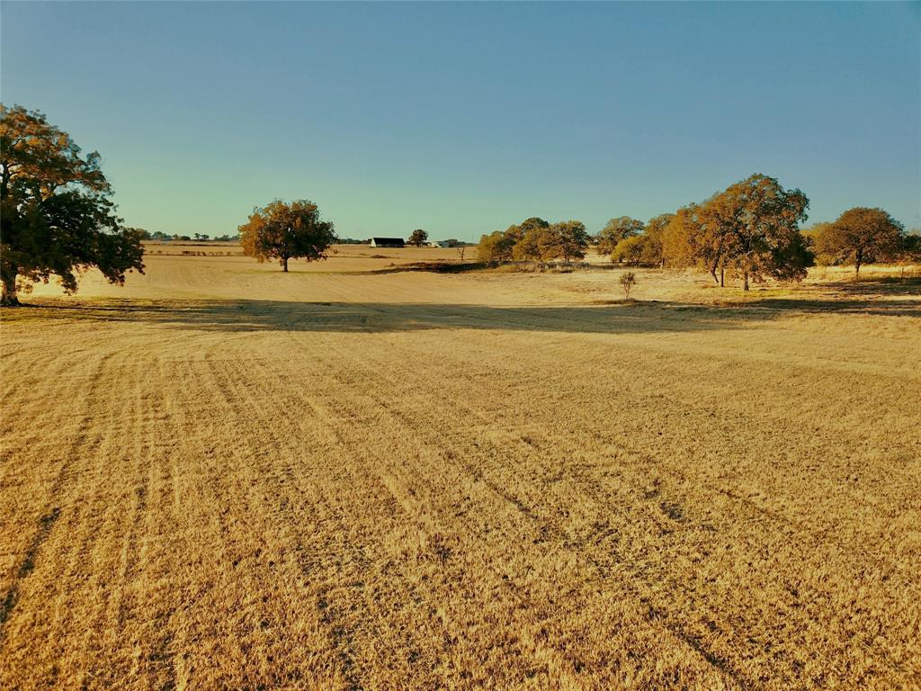 14114 Howard Lake Court Property Photo 37
