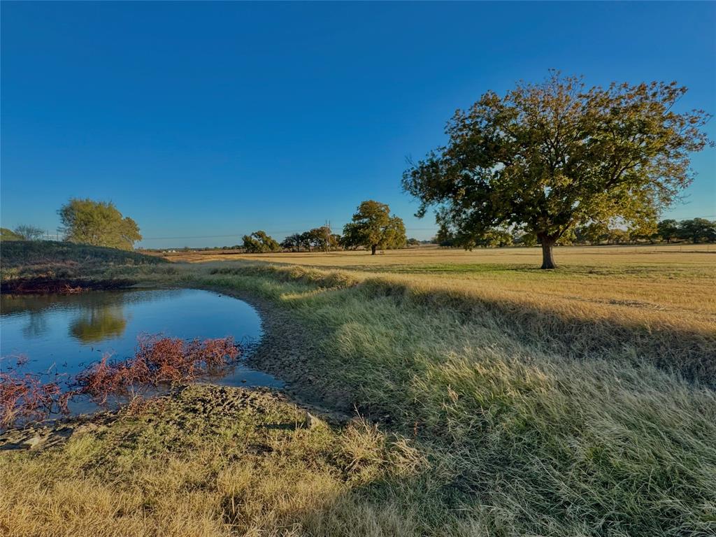 14114 Howard Lake Court Property Photo 40