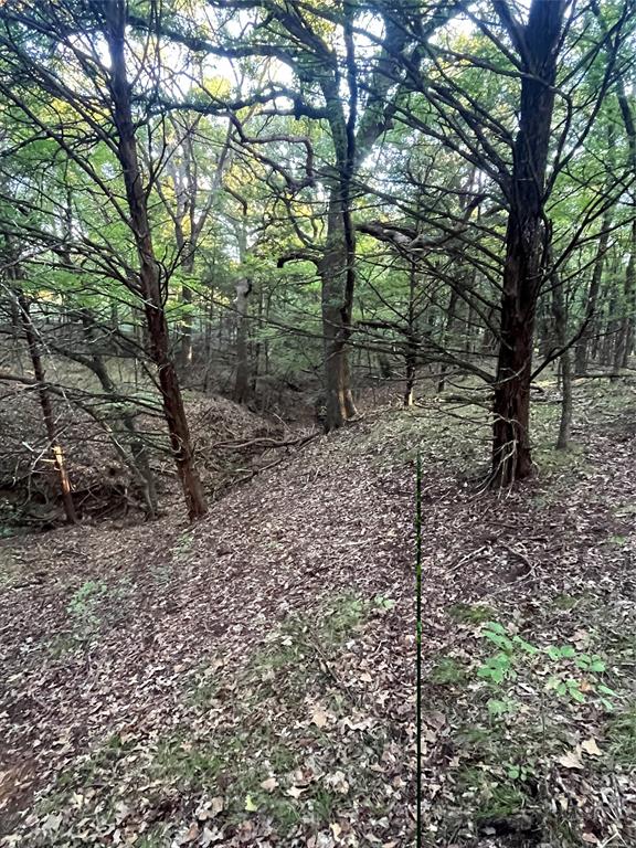 Tbd Gilbreath Road Property Photo 6