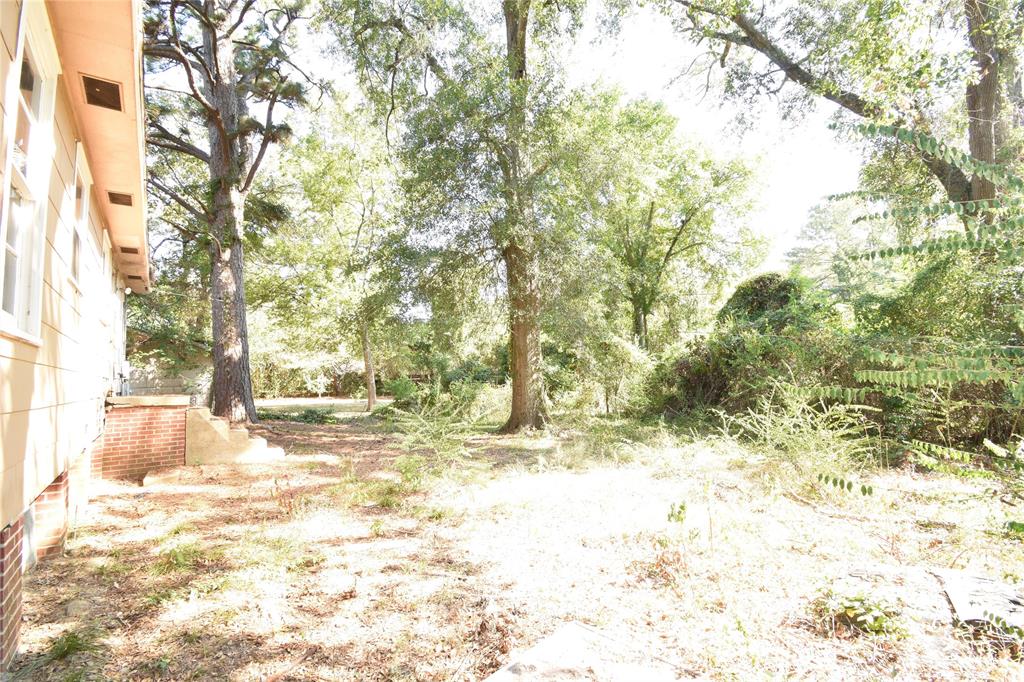 102 Posey Street Property Photo 15