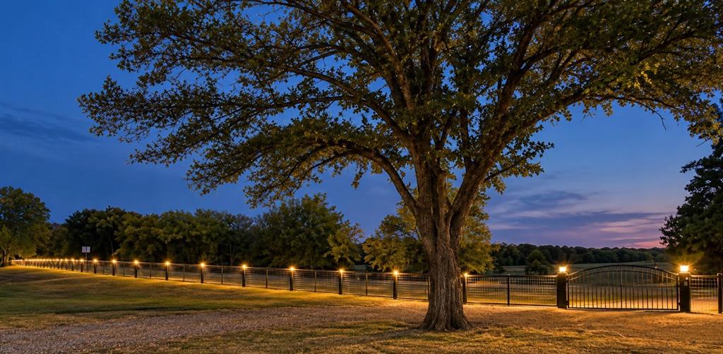 5349 Texas Highway 154 Property Photo 39