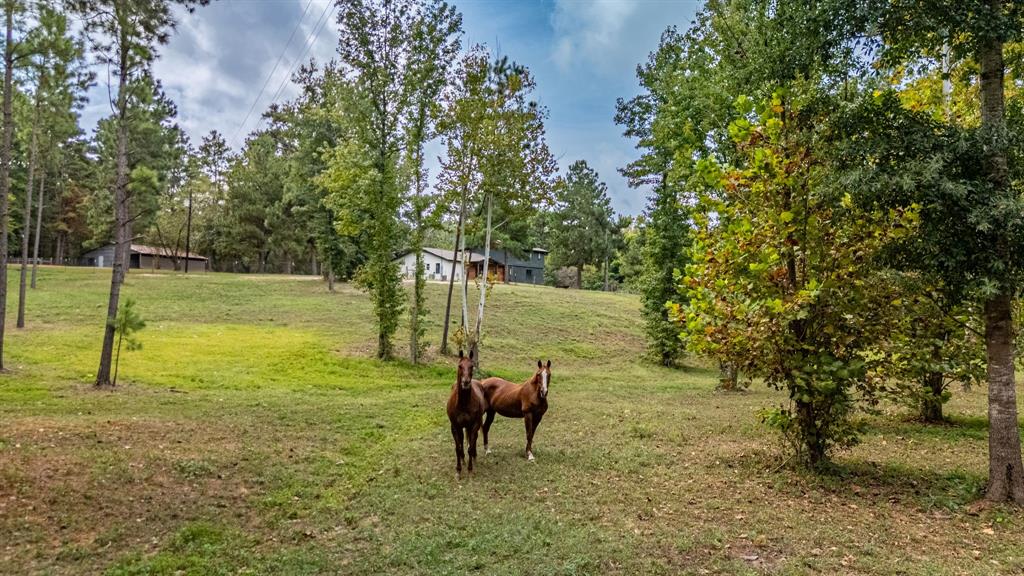 6411 Fm 23 Property Photo 2