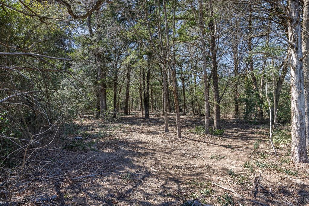 4.81 Ac Pauline Lane Property Photo 1