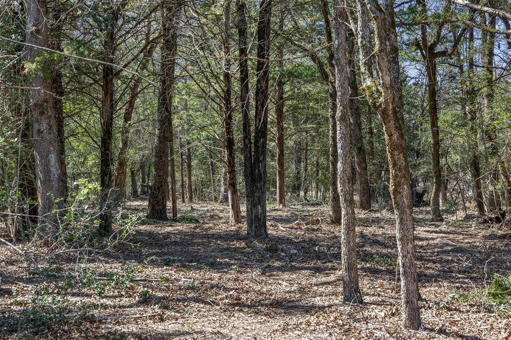4.81 Ac Pauline Lane Property Photo 2
