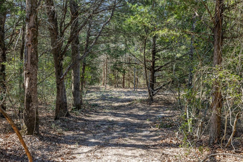 4.81 Ac Pauline Lane Property Photo 3
