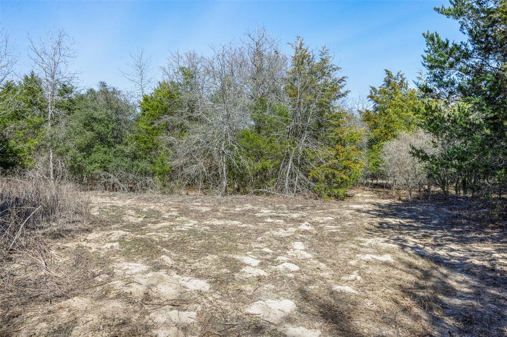 4.81 Ac Pauline Lane Property Photo 4