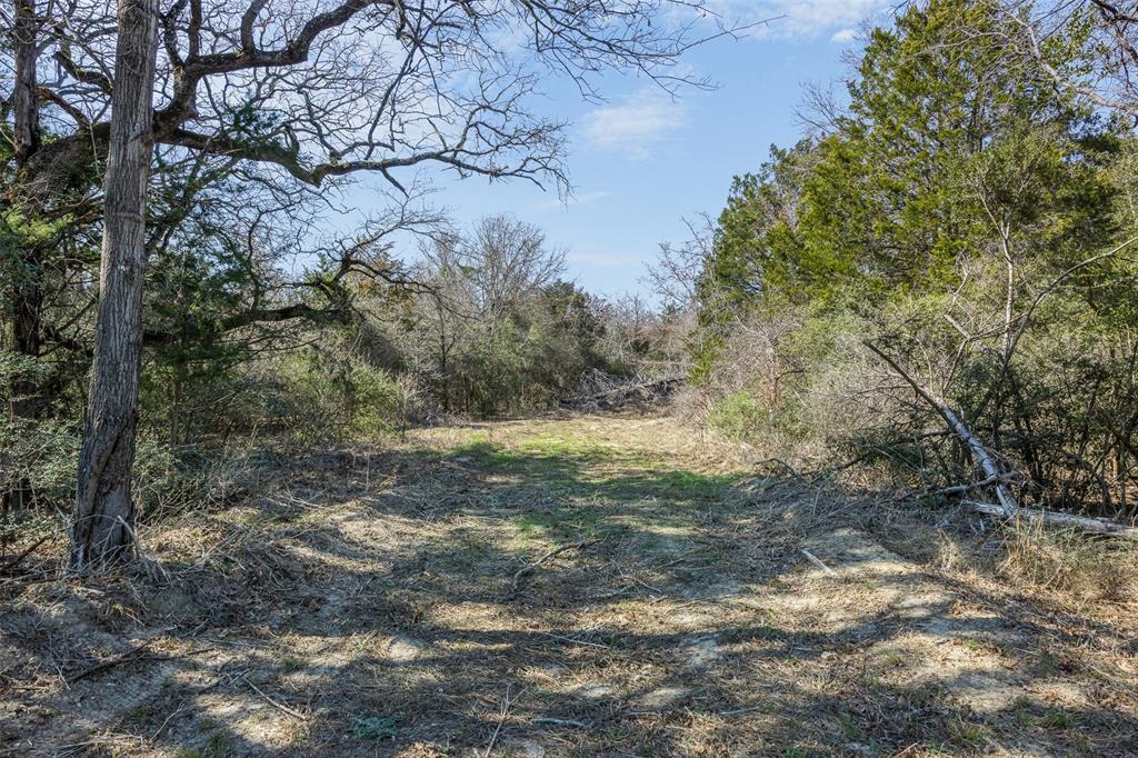 4.81 Ac Pauline Lane Property Photo 5