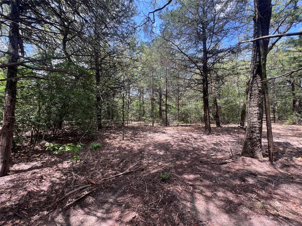 4.81 Ac Pauline Lane Property Photo 8