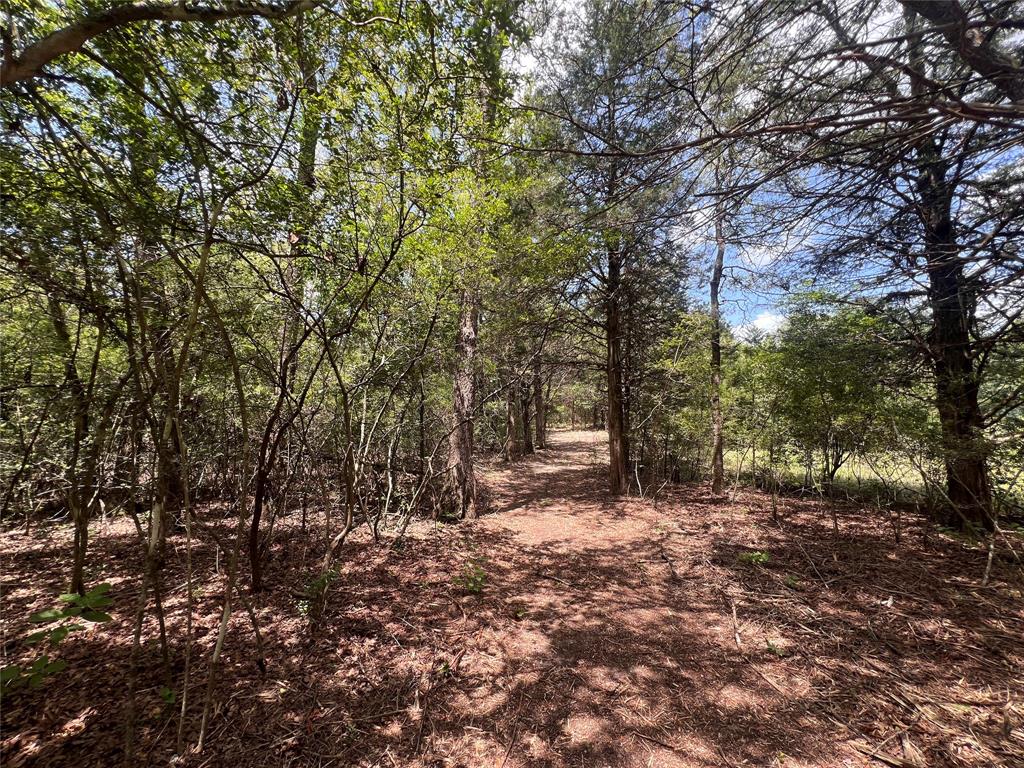 4.81 Ac Pauline Lane Property Photo 9