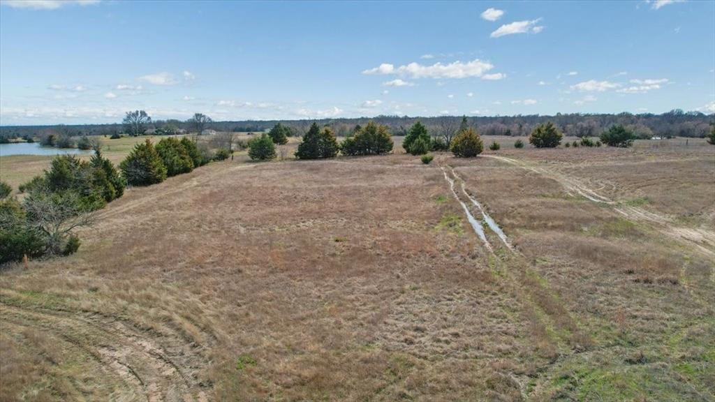 2035 Fm-1566 Property Photo 18