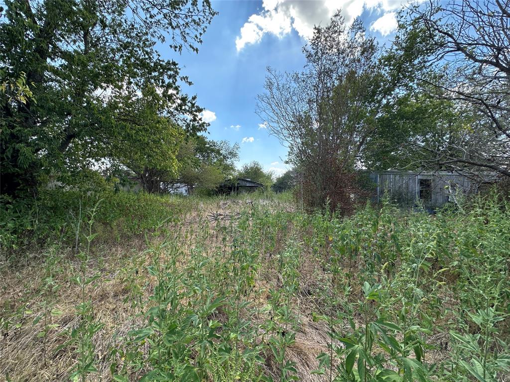 1194 County Road 151a Property Photo 2