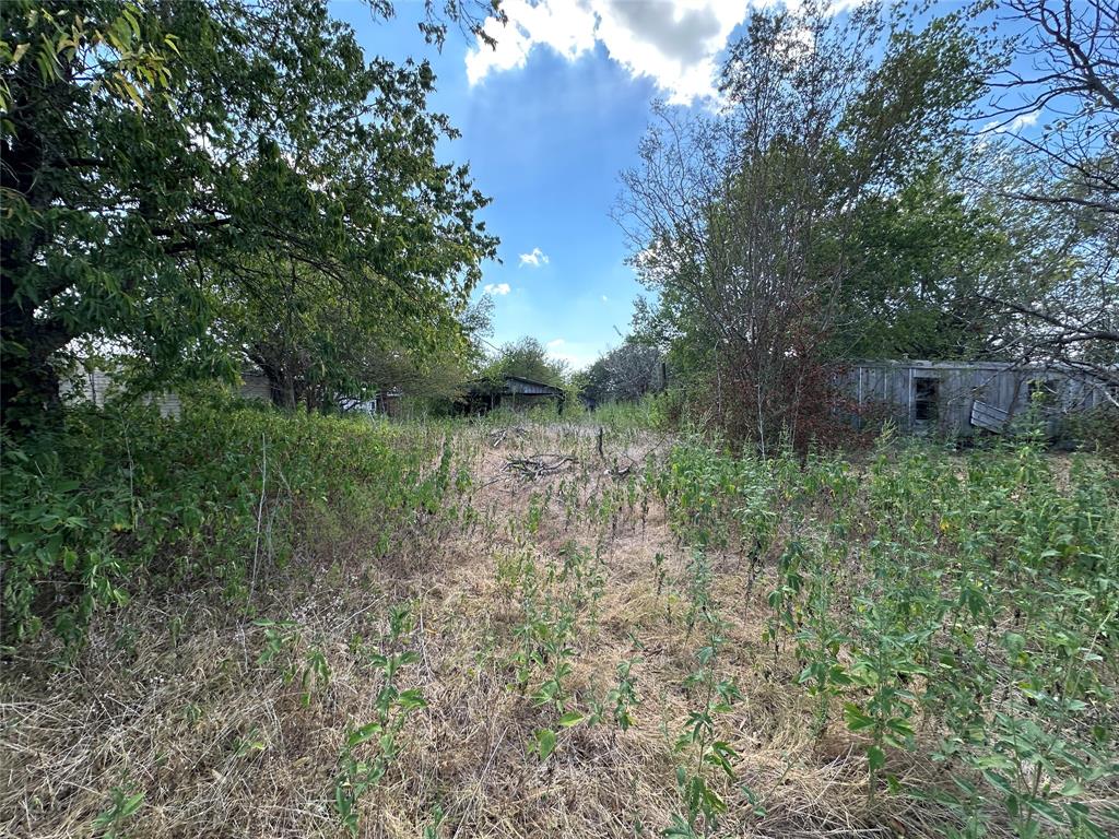 1194 County Road 151a Property Photo 3
