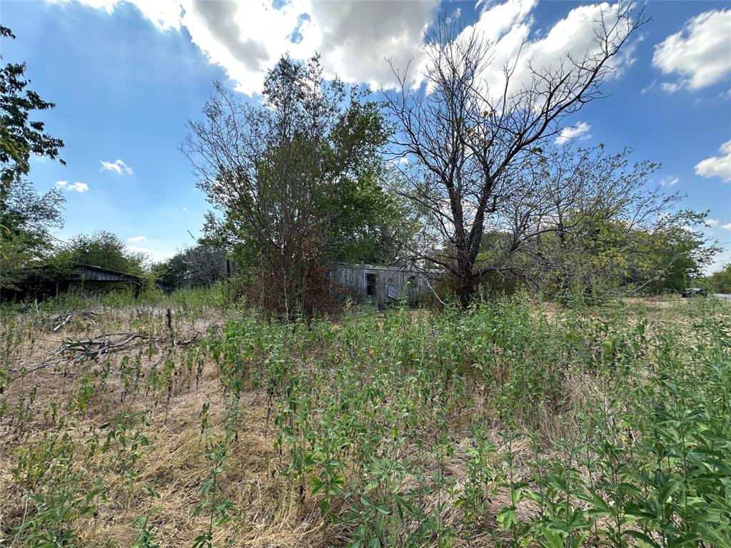 1194 County Road 151a Property Photo 4