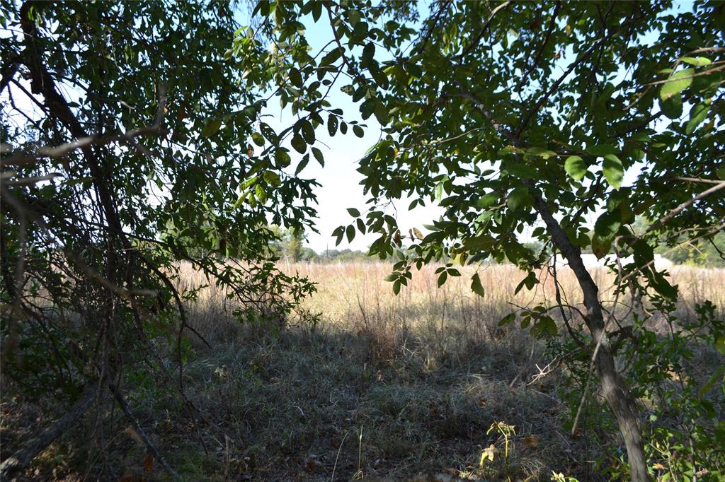 Lot 6 County Road 3410 Property Photo 3
