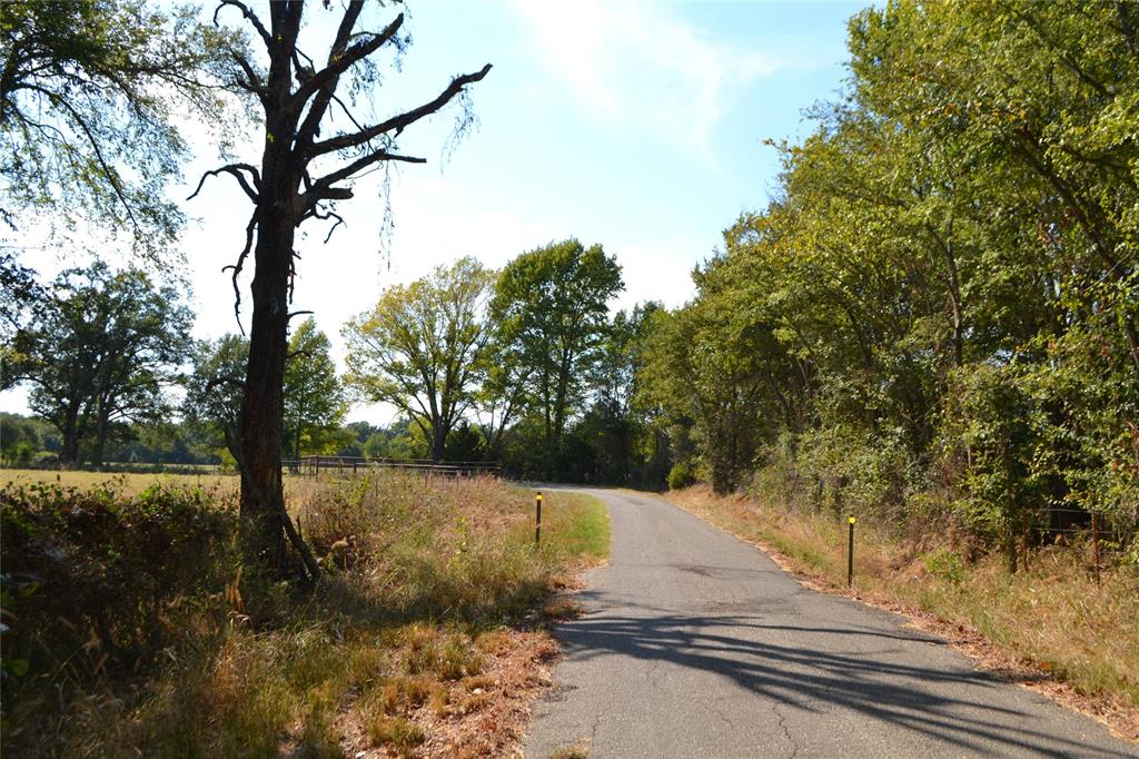 Lot 6 County Road 3410 Property Photo 4
