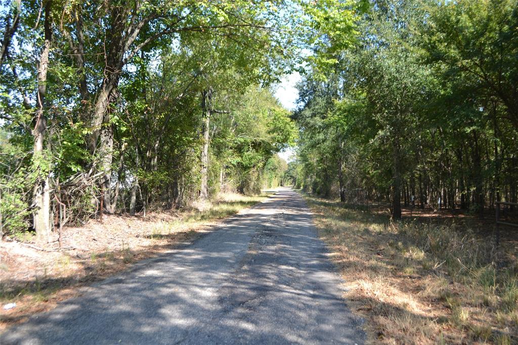 Lot 6 County Road 3410 Property Photo 5