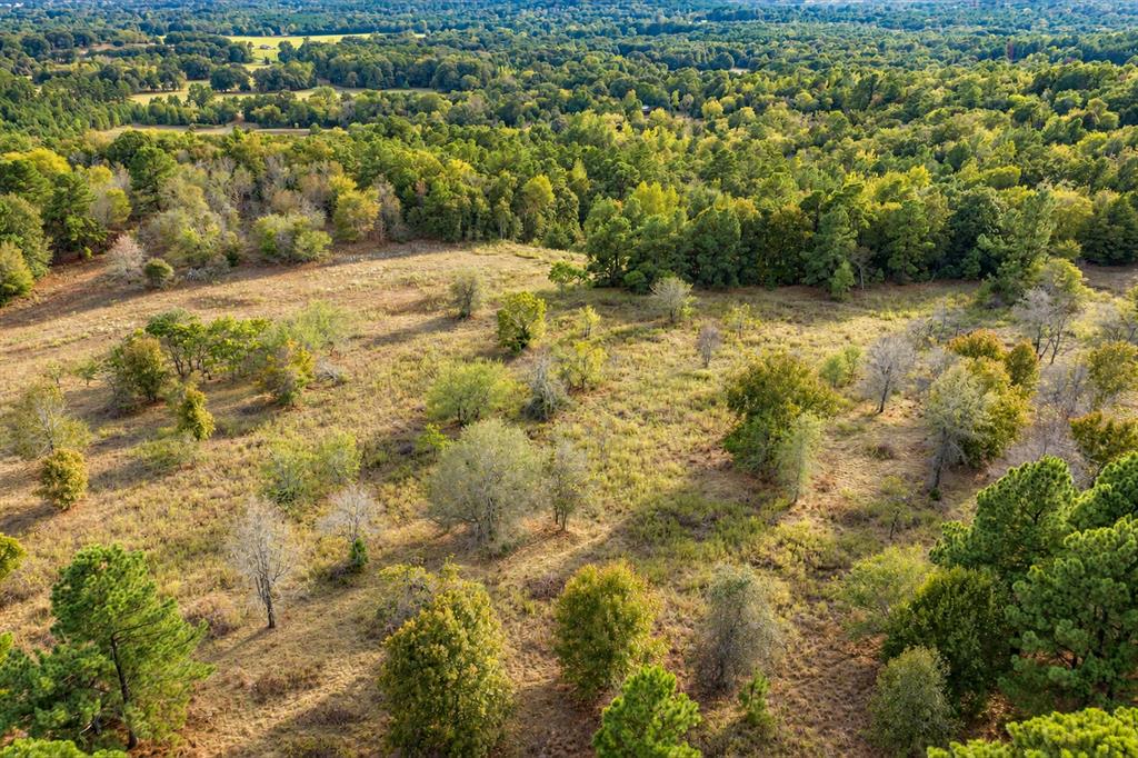 00 Off Of County Road 448 Property Photo 6