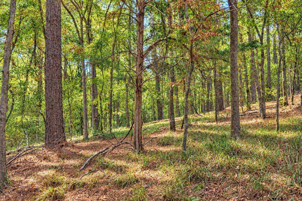 00 Off Of County Road 448 Property Photo 7