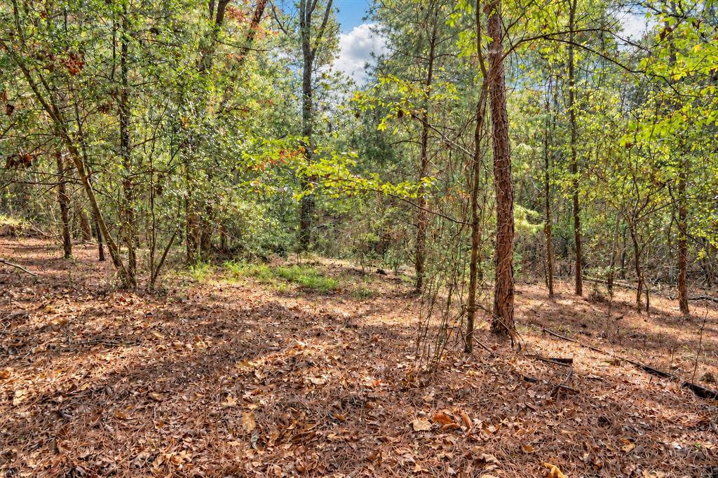 00 Off Of County Road 448 Property Photo 9