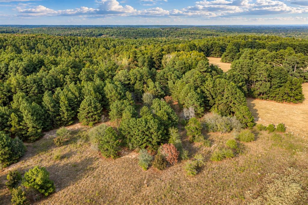 00 Off Of County Road 448 Property Photo 10