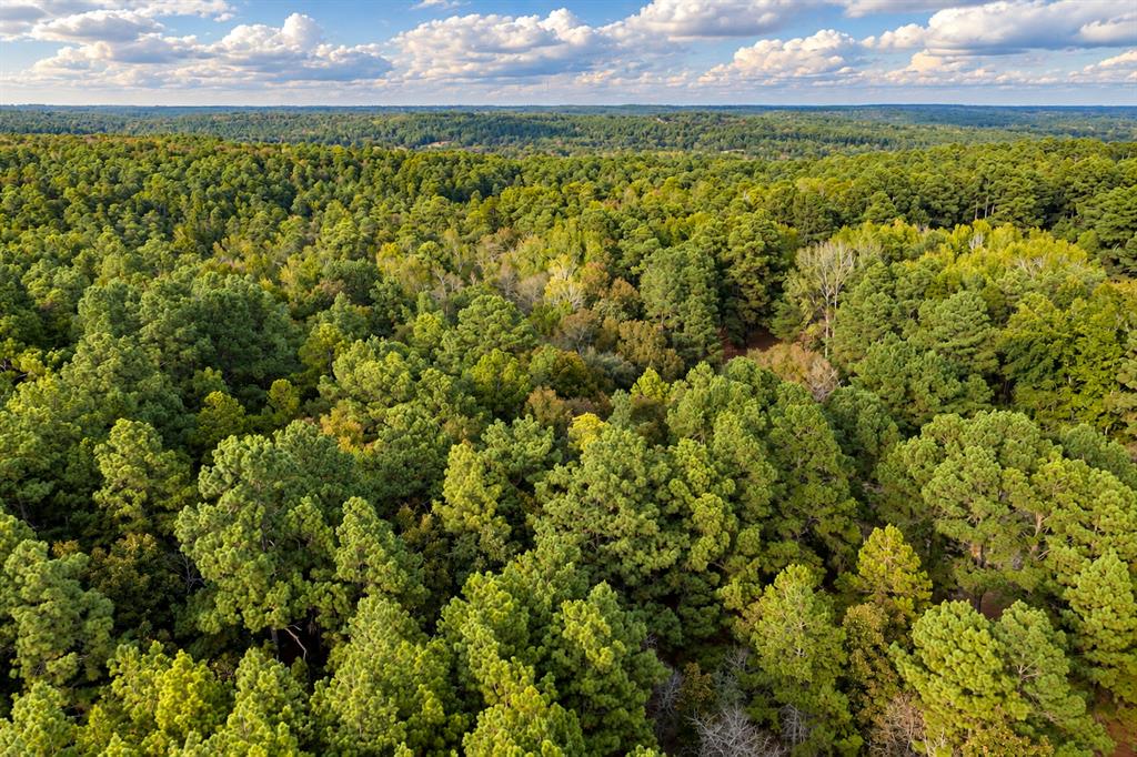 00 Off Of County Road 448 Property Photo 15
