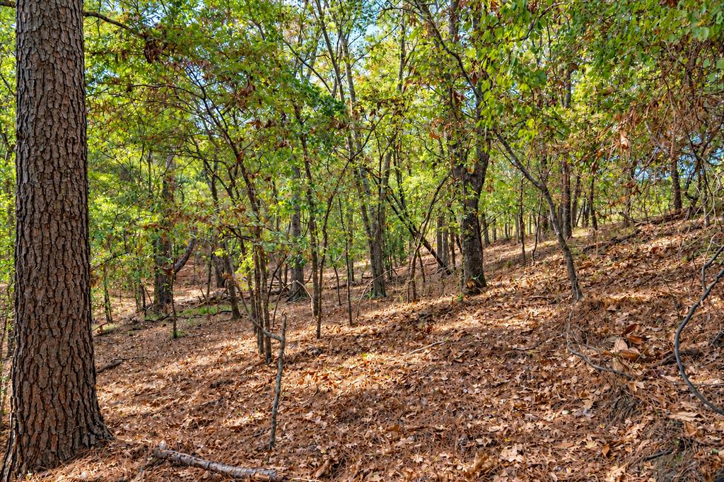 00 Off Of County Road 448 Property Photo 18