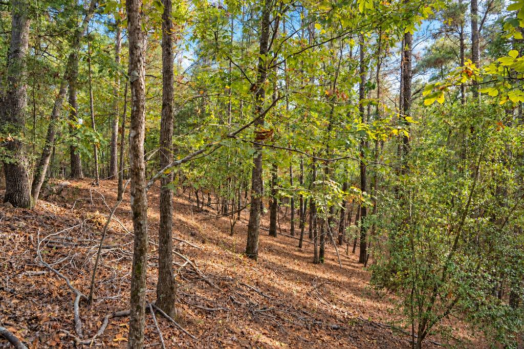 00 Off Of County Road 448 Property Photo 19