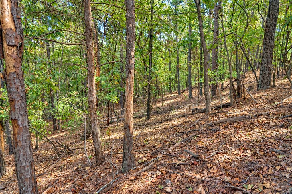 00 Off Of County Road 448 Property Photo 21