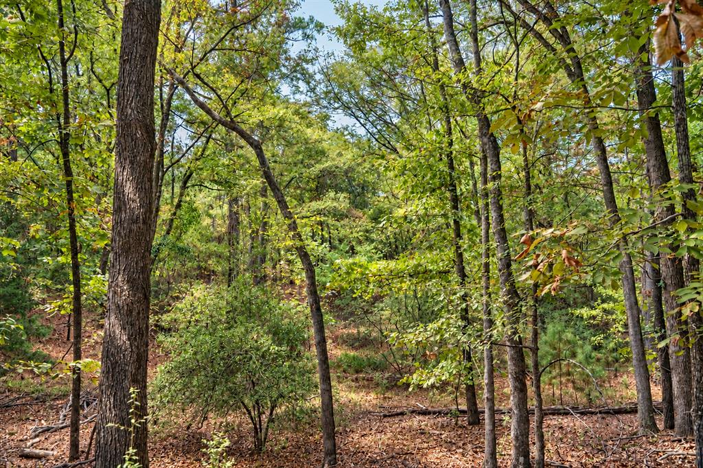 00 Off Of County Road 448 Property Photo 25