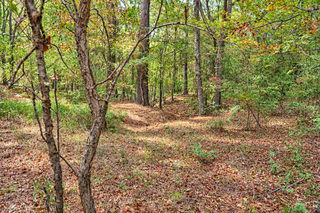 00 Off Of County Road 448 Property Photo 31