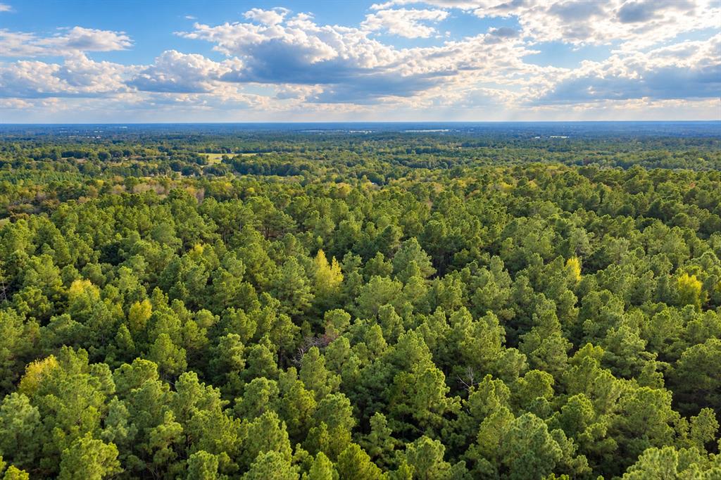 00 Off Of County Road 448 Property Photo 34