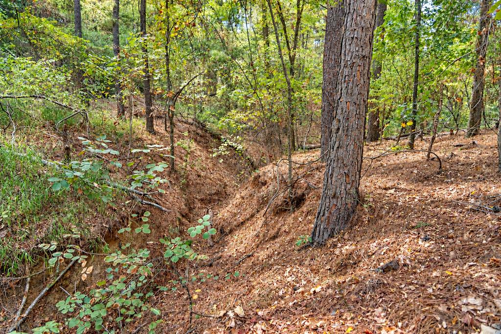 00 Off Of County Road 448 Property Photo 35