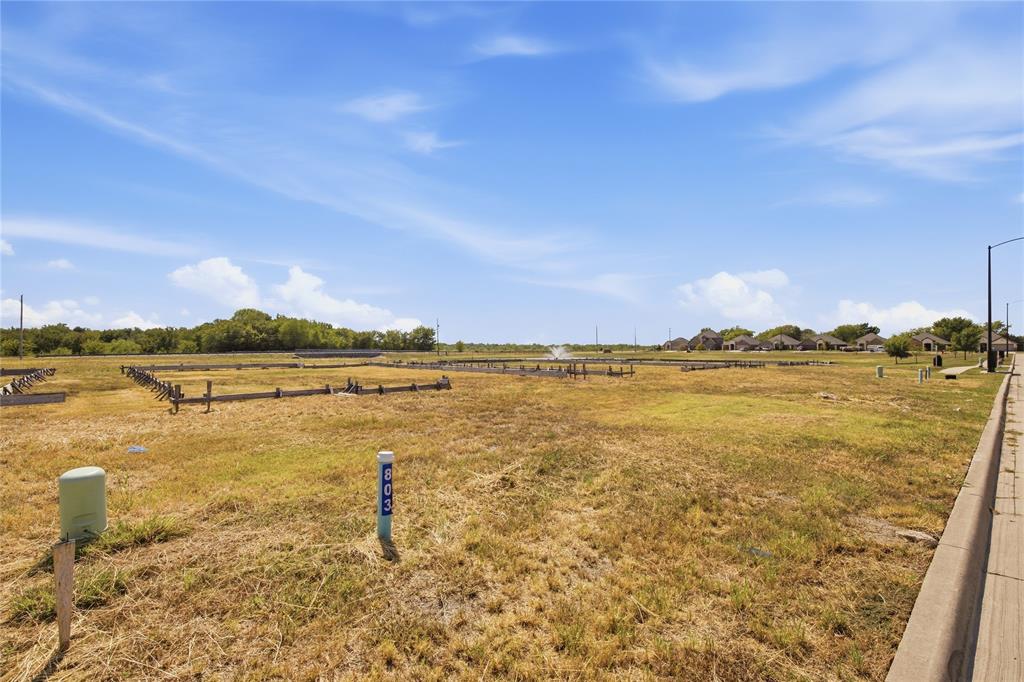 803 Greyson Lane Property Photo 1