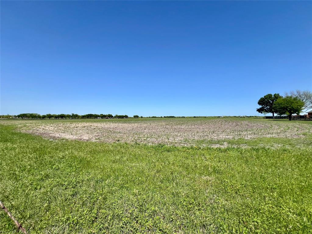 11.57 Acres Tract 4 Fm 1722 Property Photo 5
